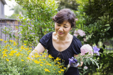Senior woman holding flowers while gardening in backyard - CAVF30803