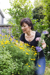 Ältere Frau begutachtet Blumen im Garten - CAVF30804