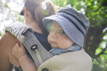 Porträt eines Sohnes, der von seiner Mutter in einer Babytrage im Wald getragen wird - CAVF30850