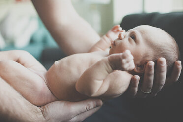 Abgeschnittene Hände eines Vaters, der ein neugeborenes Baby zu Hause hält - CAVF30860