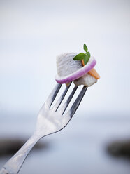 Close- up of traditional swedish pickled herring on fork - FOLF02801