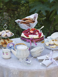 Tisch im Garten mit Teekanne und Gebäck - FOLF02810
