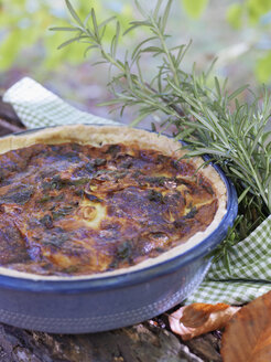 Quiche mit Eierschwammerln - FOLF02831