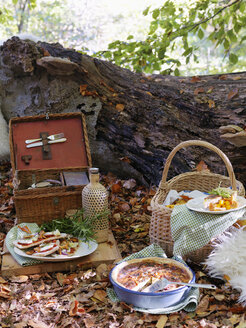 Picknick im Wald - FOLF02833