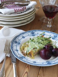Cannelloni with beetroots on plate - FOLF02855