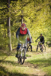 Mature men riding on mountain bikes through forest - FOLF03341