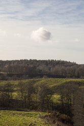 Ruhige Szene der grünen Landschaft unter bewölktem Himmel - FOLF03591