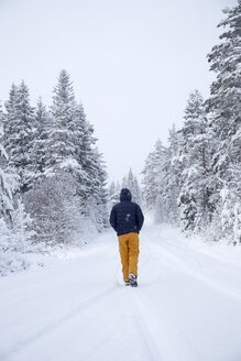 Mann geht im Winter auf einer Straße im Wald spazieren - FOLF03600