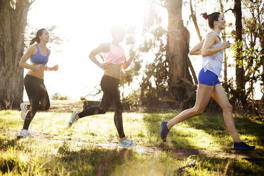 Female athletes jogging by trees on field against clear sky - CAVF31028