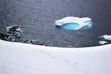 Hohe Winkel Ansicht von Eisberg schwimmenden im Meer durch schneebedeckten Feld - CAVF31068