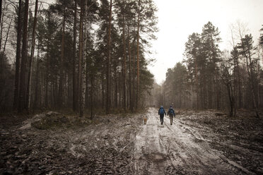 Rückansicht von Freunden, die im Winter auf einem Wanderweg im Wald spazieren gehen - CAVF31088