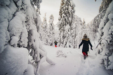 Rückansicht von Wanderern auf einem schneebedeckten Wanderweg inmitten von Bäumen - CAVF31096