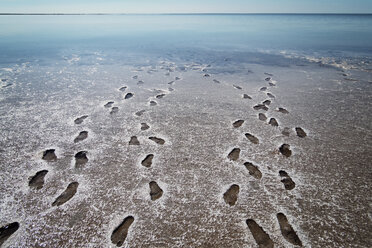 High angle view of footprints on wet shore at beach - CAVF31115
