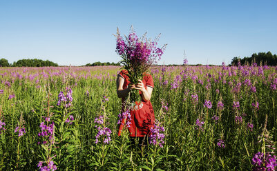 Bäuerin versteckt Gesicht mit Blumen auf dem Bauernhof gegen klaren blauen Himmel - CAVF31149