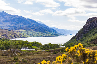 United Kingdom, Scotland, Highland, Loch Maree, freshwater lake, farmhouse - WDF04495