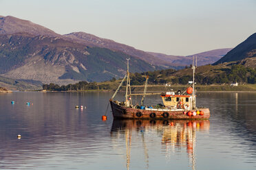 Vereinigtes Königreich, Schottland, Highland, Ullapool, Loch Broom, Fischerboot - WDF04501