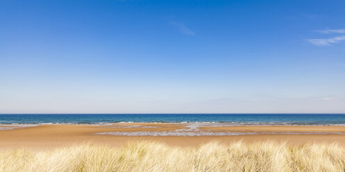 Vereinigtes Königreich, Schottland, Ostküste, Brora, Nordsee, Strand - WDF04507