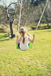 Rear view of girl on swing - FOLF03613