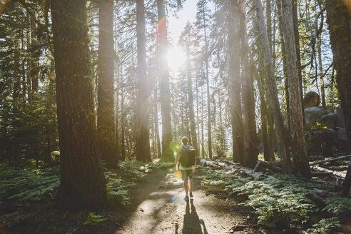 Mann beim Wandern auf dem Taft Point Trail - FOLF03627