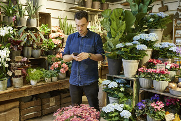 Florist benutzt Smartphone im Blumenladen - FOLF03702