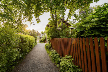 Holzzaun entlang eines Fußwegs in den Stockholmer Schären - FOLF03758