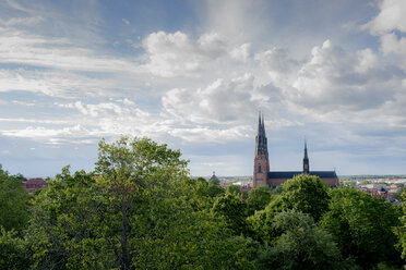 Uppsala Cathedral tower over trees - FOLF03775