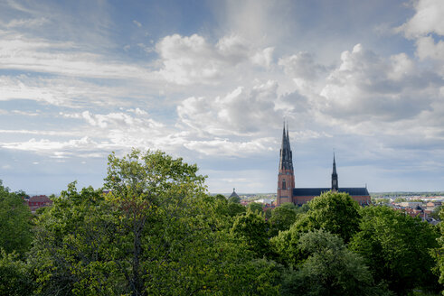 Dom zu Uppsala Turm über Bäumen - FOLF03775
