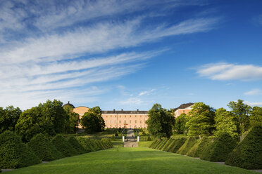 Hecken in den Linnean-Gärten von Uppsala - FOLF03782