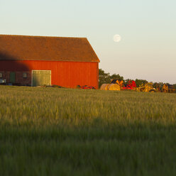 Farm and barley field - FOLF03872