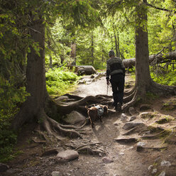 Frau geht mit Hund im Wald spazieren - FOLF03888