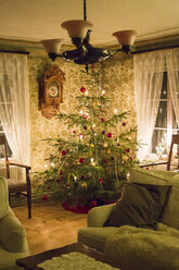 Beleuchteter Weihnachtsbaum im Wohnzimmer - FOLF03902