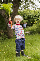 Kleiner blonder Junge steht im Gras und hält Rhabarberblätter - FOLF03910