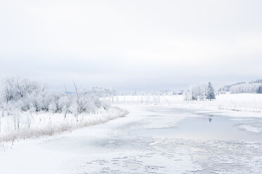 Frozen river in winter - FOLF03988
