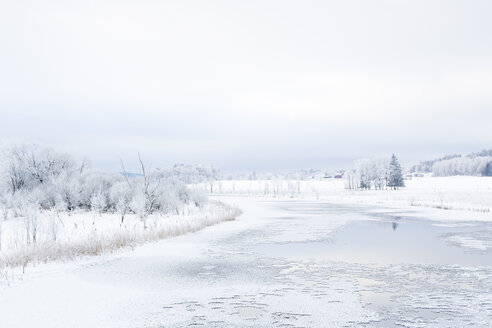 Gefrorener Fluss im Winter - FOLF03988