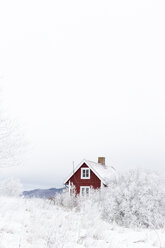 House and trees in winter - FOLF03991