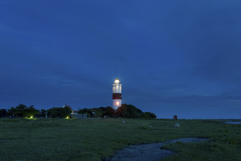 Beleuchteter Leuchtturm Lange Jan bei Nacht - FOLF04033