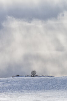 Blick auf die Meereslandschaft - FOLF04041