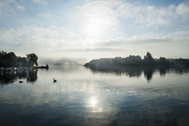 Morning landscape with mute swam on water - FOLF04047