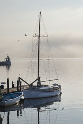 Yachten im Yachthafen am Morgen - FOLF04049