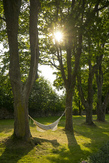 Empty hammock in backyard at sunset - FOLF04053