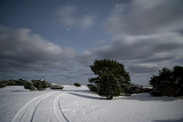 Stars on sky over snowy field - FOLF04070