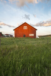 Blauer Himmel über der Hütte im Feld - FOLF04261