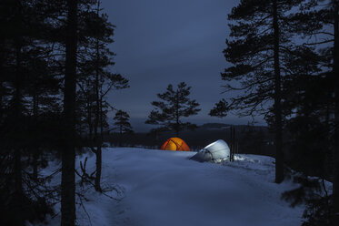 Zwei Zelte zwischen Bäumen bei Nacht im Naturschutzgebiet Kindla - FOLF04319