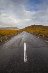 Ländliche Straße in Schweden - FOLF04696