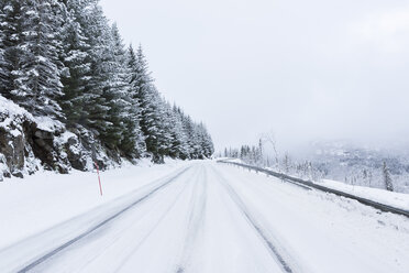 Schneebedeckte Straße auf den Lofoten, Norwegen - FOLF04710