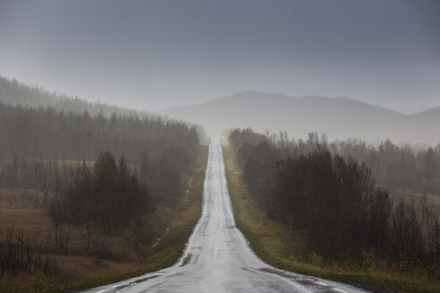 Ländliche Straße in Schweden - FOLF04719