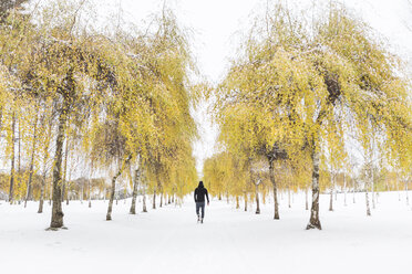 Person running in The Woodland Cemetery in Stockholm - FOLF04725