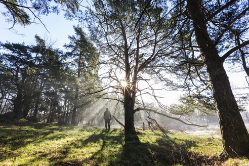 Mann in bewaldetem Gebiet in Schweden - FOLF04732