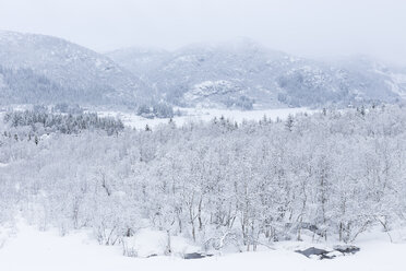 Snowy ground at Lofoten, Norway - FOLF04753
