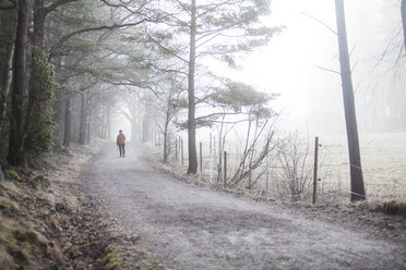 Dirt road in Sweden - FOLF04755